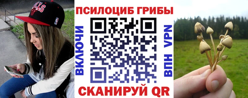 Псилоцибиновые грибы мухоморы  закладка  Тулун 
